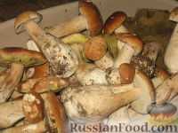 Рецепты из белых грибов