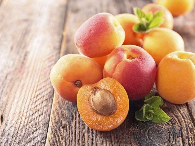 Об абрикосе маньчжурский: описание и характеристики сорта, посадка, уход