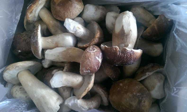 Белые грибы на зиму, маринованные, замороженные, жаренные и соленые в банках