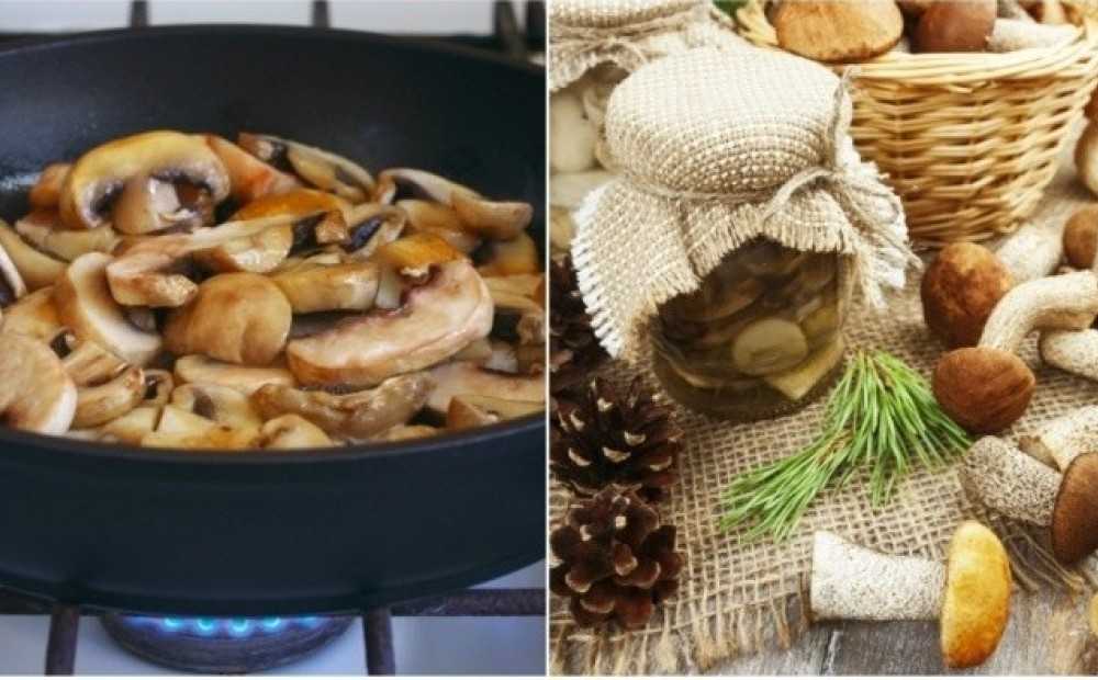 Валуи на зиму: простые рецепты с фото засолки, маринования, приготовления икры и консервирования грибов в банки