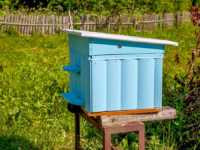 Ульи для пчел: виды, конструкции и характеристика