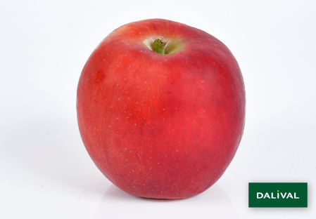 Описание сорта яблони старк: фото яблок, важные характеристики, урожайность с дерева