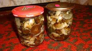 Как приготовить опята: простые рецепты блюд из свежих грибов
