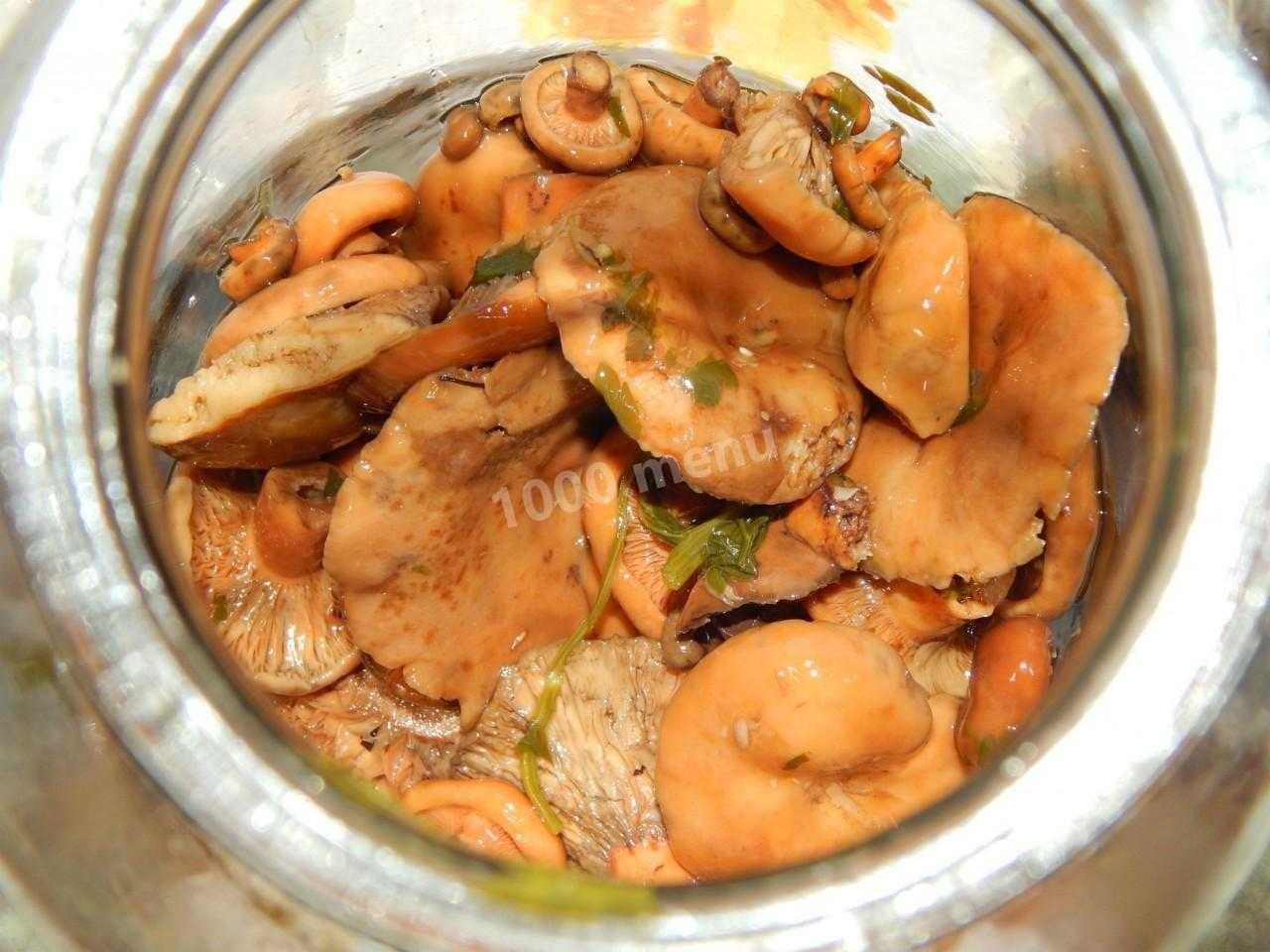 Рецепты консервирования грибов в домашних условиях