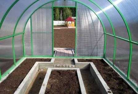Обработка почвы в теплице весной: защита от вредителей и подготовка к высадке