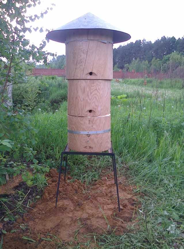 Колодное пчеловодство для начинающих