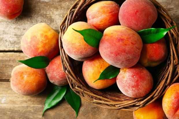 Описание сорта персика киевский ранний, правила посадки и ухода