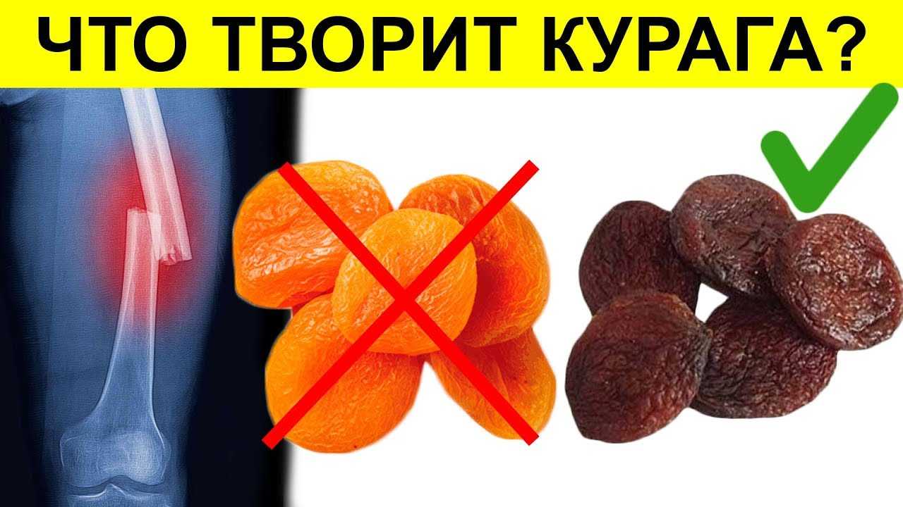 Польза и вред абрикосов