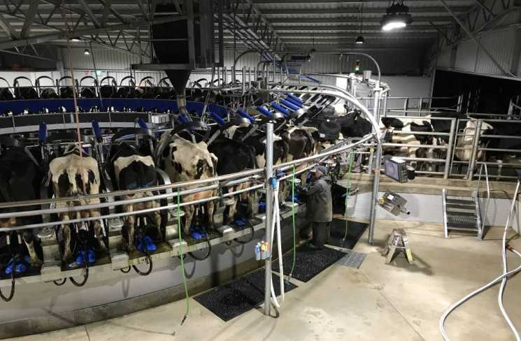 Как выбрать доильный аппарат для коров по виду доения и типу насоса