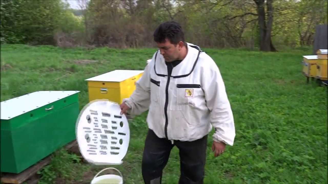 Изготовление поилок для пчел