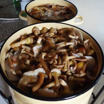 Как замочить сухие грибы для супа - лучший огород