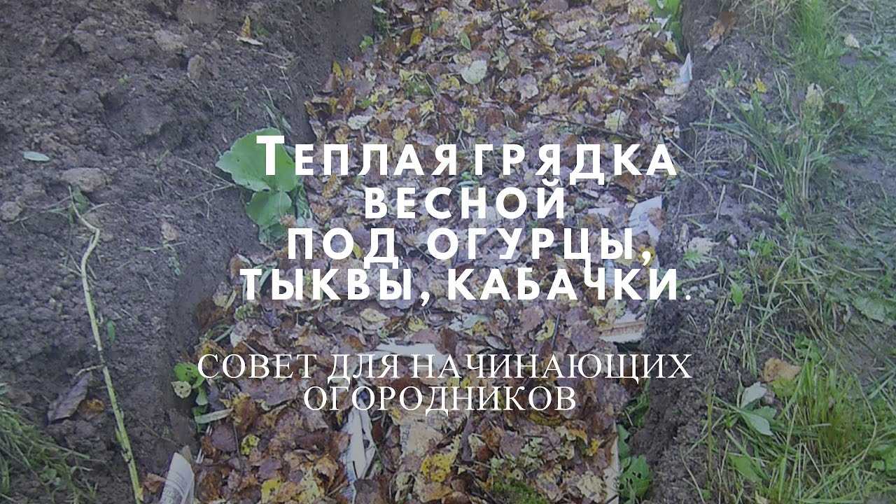 Готовим тёплую грядку с осени. виды. правила создания. фото — ботаничка.ru