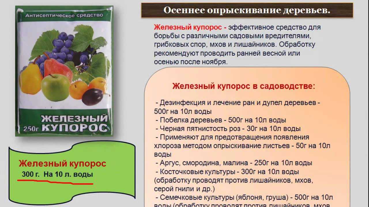 Опрыскивание плодовых деревьев весной до и после цветения - pocvetam.ru