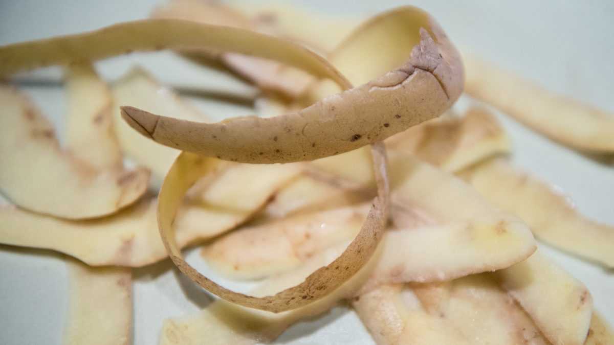 Картофельные очистки как удобрение – для каких растений подходят