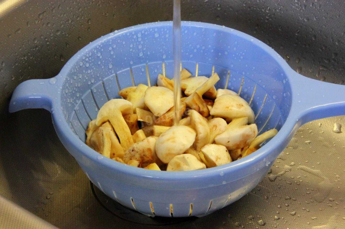 Жареные грибы маслята: лучшие рецепты с луком, картошкой, сметаной, сыром, без варки, на зиму. на каком масле жарить маслята? как и сколько варить грибы маслята перед жаркой по времени?