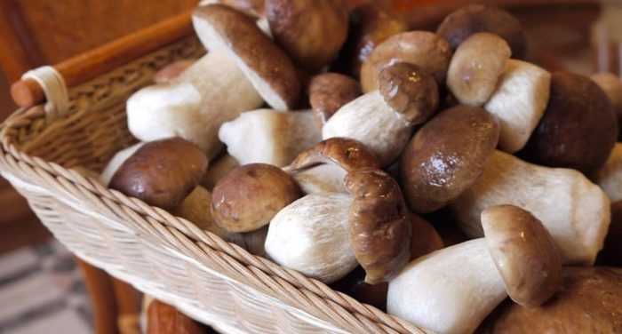 Закуска из грибов на зиму – пальчики оближешь: рецепт с фото и видео