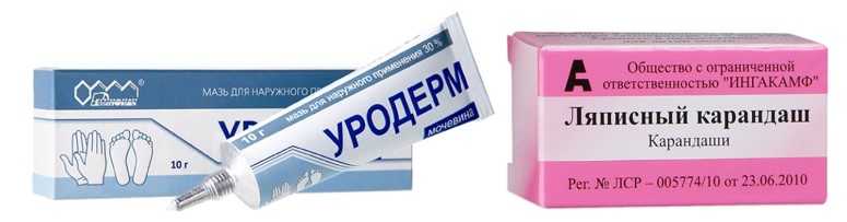 Сколько и как хранить прополис в домашних условиях